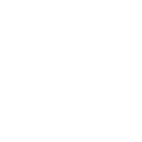 Hitos claves del reto